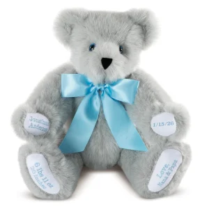 15 In. Premium Baby Boy Bear